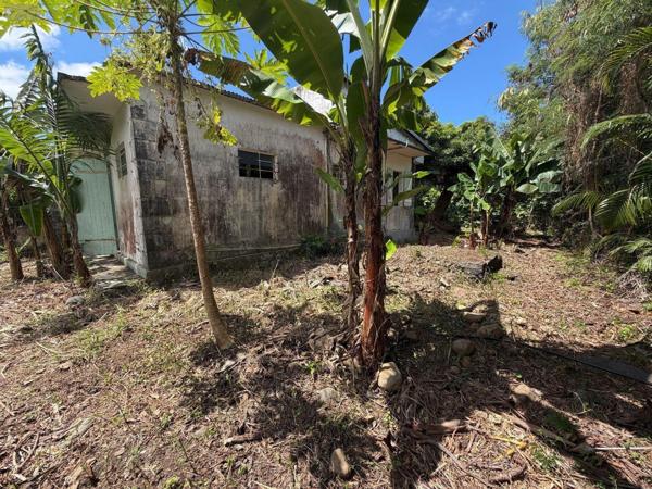Maison à restaurer à vendre à Saint-André à la Réunion (97440), ref : 97405/246