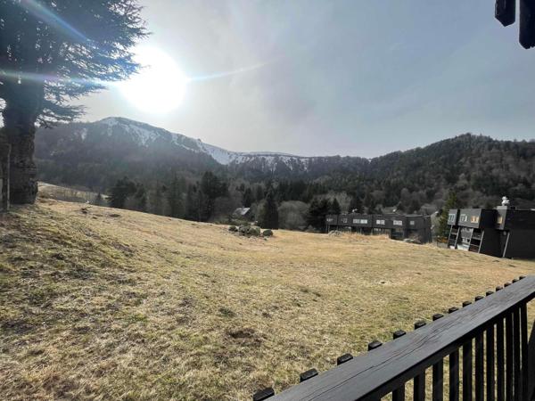 Appartement 2 pièces de 45 m² à Le mont dore