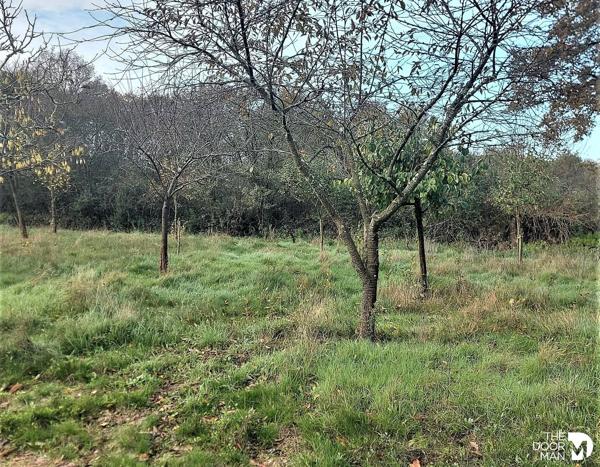 Terrain - Vendu - 1 382 m² - CHAUMES EN RETZ | The Door Man