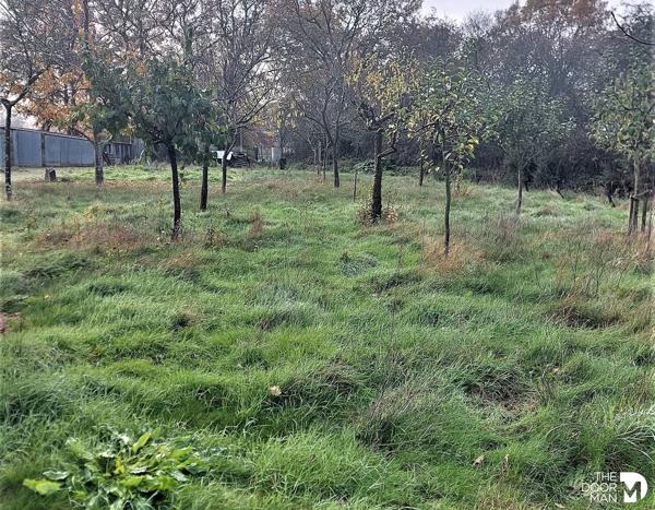 Terrain - Vendu - 1 382 m² - CHAUMES EN RETZ | The Door Man