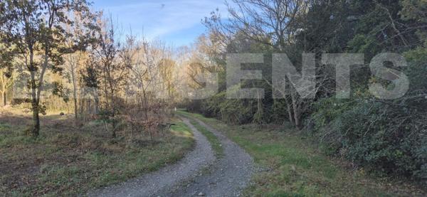 RARE : Grand terrain viabilisé de 6 020 m² – Villar-Saint-Anselme (11250)