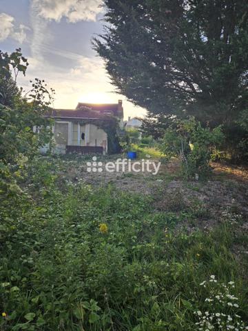 Terrain
        
        - 503 m² 95 000 € *