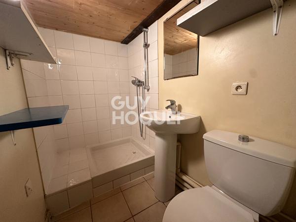 T1 Bis Croix Rousse, Grand volume avec Mezzanine, Rue Lebrun