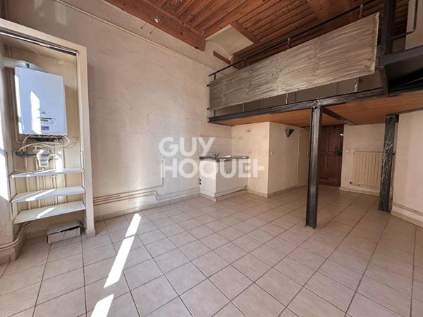 T1 Bis Croix Rousse, Grand volume avec Mezzanine, Rue Lebrun