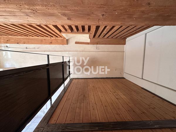 T1 Bis Croix Rousse, Grand volume avec Mezzanine, Rue Lebrun