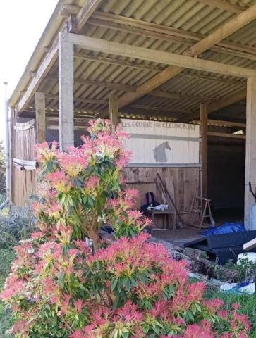 PROPRIETE EQUESTRE DE 3HA