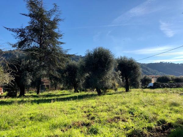 Carros (06510) Proche voie rapide