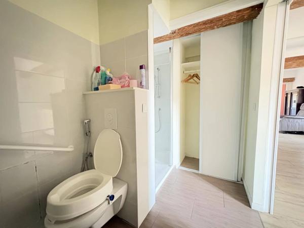 Appartement T2 45 m2 - Carmes - Jardin d'arcadie