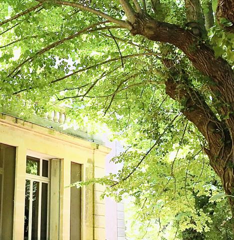 Montpellier (34000) NOUVEAU, RARE, PROPRIÉTÉ 7,5 HA AVEC DEMEURE D'INSPIRATION "FOLIE DE MONTPELLIER" DE 500 m2 env