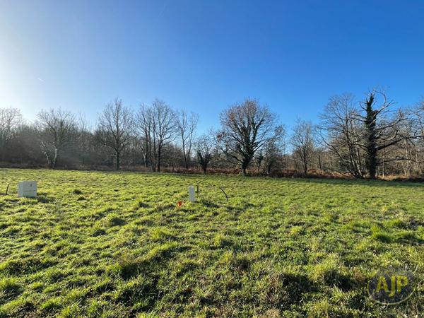 Vente terrain Challans : 165 450 € - AJP Immobilier Challans