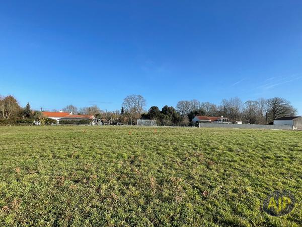 Vente terrain Challans : 165 450 € - AJP Immobilier Challans