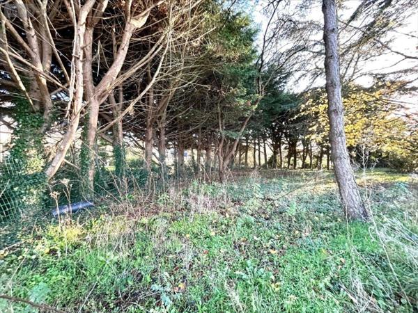 Terrain à Batir à vendre à Lessay dans la Manche (50430), ref : 50061-1091414