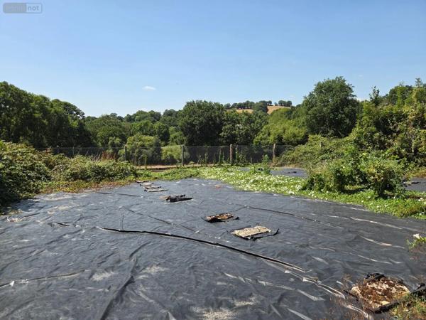 Achat - Maison | Maison Hardanges 53640 9 pièces 110 m 2 1052 m 2