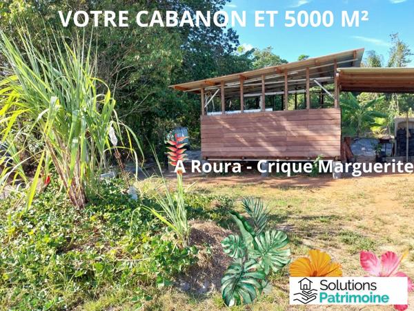 terrain agricole et son cabanon