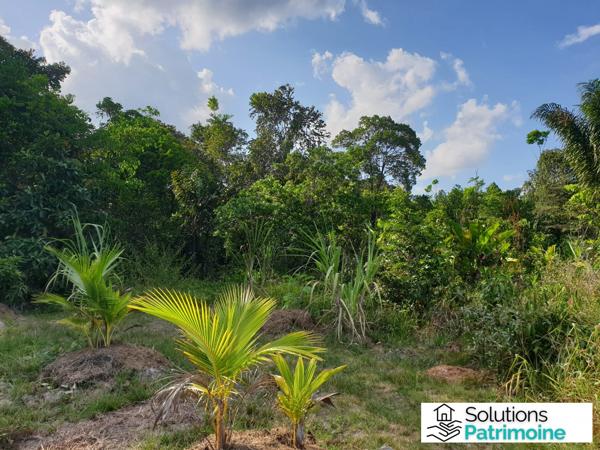 terrain agricole et son cabanon