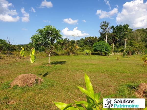 terrain agricole et son cabanon