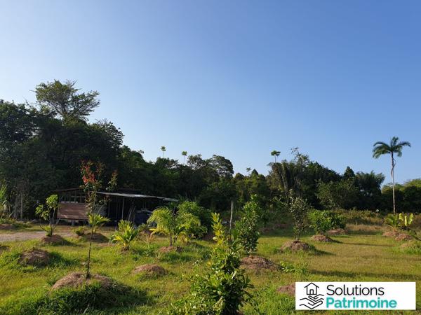 terrain agricole et son cabanon