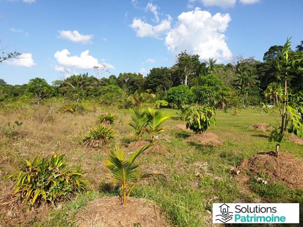 terrain agricole et son cabanon