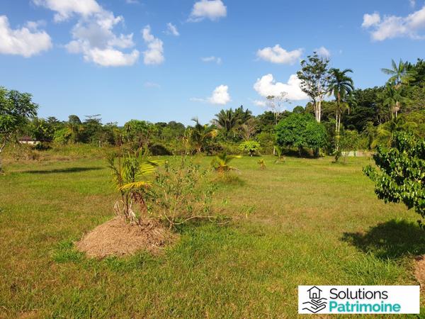 terrain agricole et son cabanon
