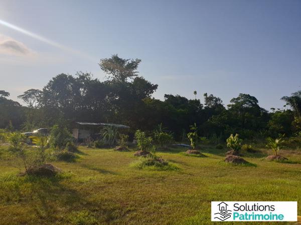 terrain agricole et son cabanon