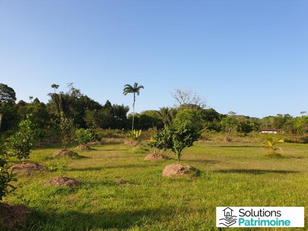 terrain agricole et son cabanon