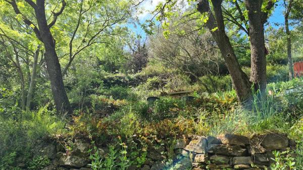 Mazet plein de charme, autonome en énergie, à 5 minutes du centre-ville