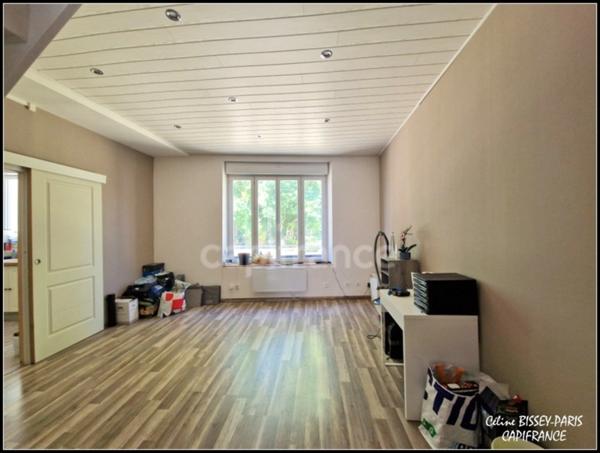 Maison de ville 145M2 Comprenant 2 logements un T2 et un T5, Double vitrage, volet électrique, COURSON LES CARRIERES (89)