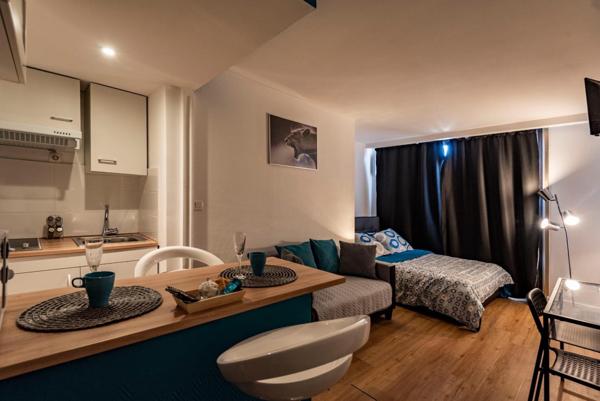 REIMS - HYPER CENTRE - TYPE 1 MEUBLÉ