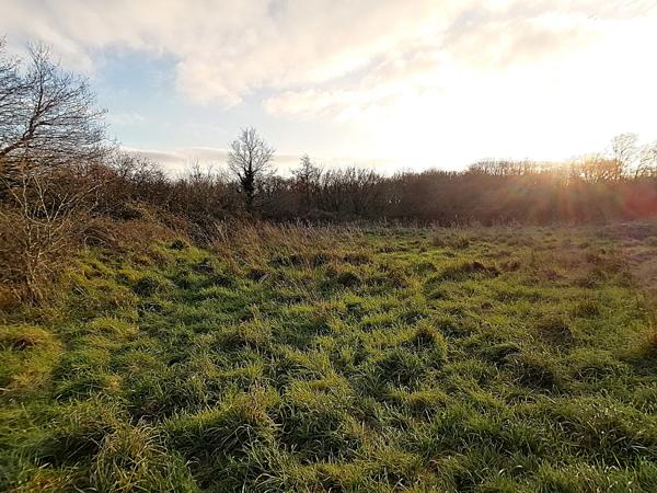 EXCEPTIONNEL & TRES RARE