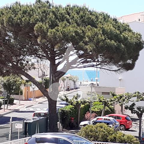 Appartement 1 pièce 20.53 m2