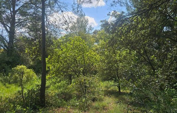 Terrain de Loisirs Laval Pradel 2950 m2