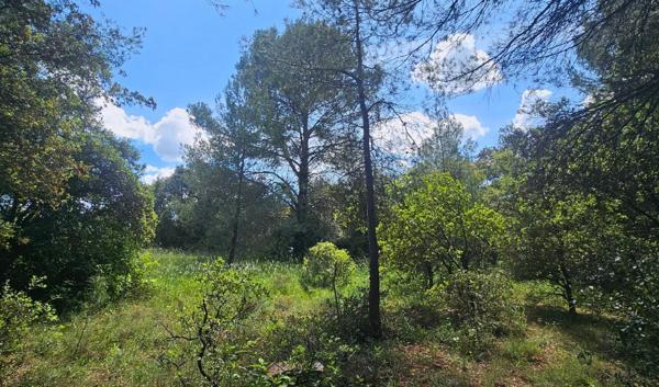 Terrain de Loisirs Laval Pradel 2950 m2