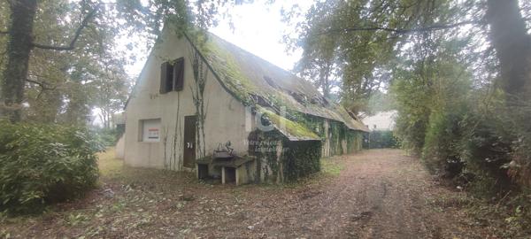 MAISON - 150M² - 3 CHAMBRES - GARAMBEAU - DEPENDANCE