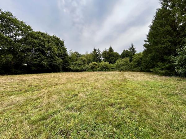 Terrain viabilisé et libre de constructeur