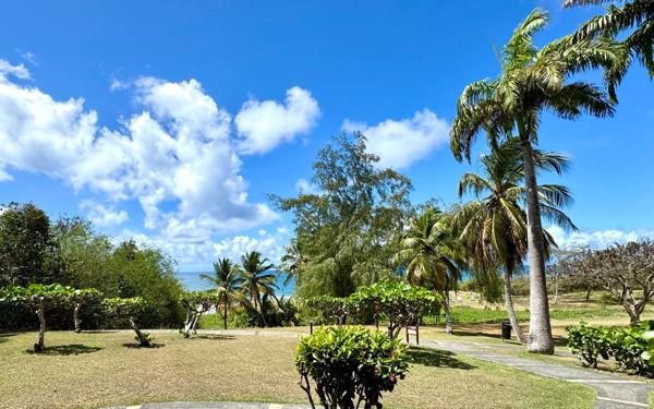 Appartement à vendre    1 pièce • 21,97 m2 Sainte-Anne