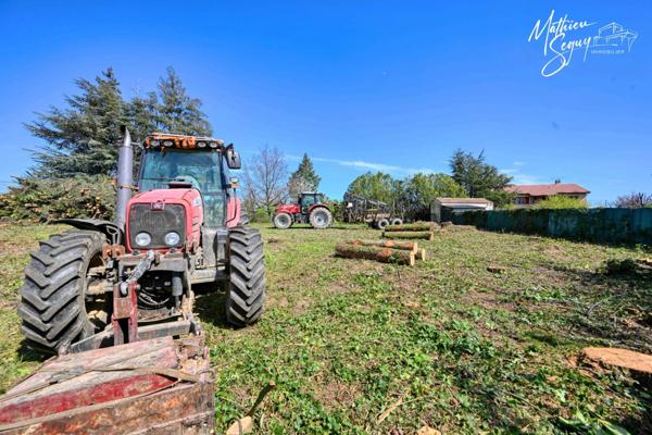 Un terrain verdoyant pour accueillir votre future maison