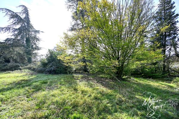 Un terrain verdoyant pour accueillir votre future maison