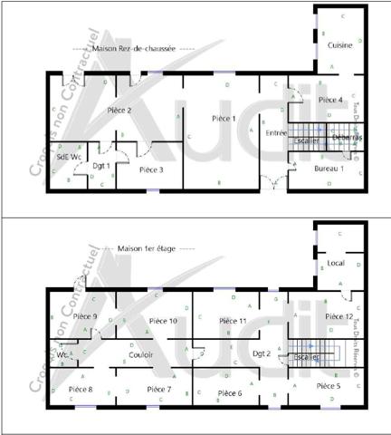 Carmaux (81400) Immeuble dans le centre ville de Carmaux - 650 m² au sol
