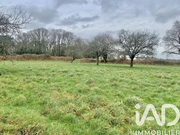 Maison à vendre 3 pièces 100 m² Pluvigner