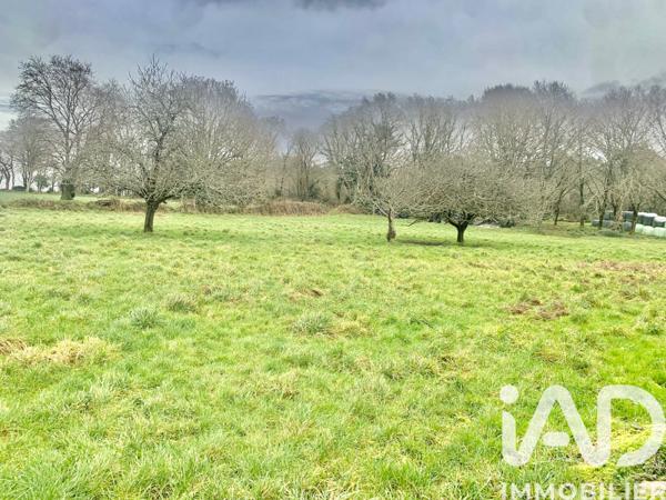 Maison à vendre 3 pièces 100 m² Pluvigner