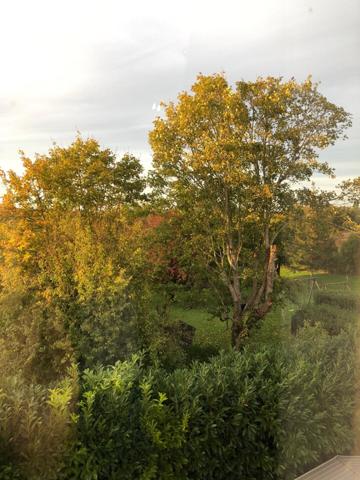 Maison de 160m2 5 chambres proche La Rochelle