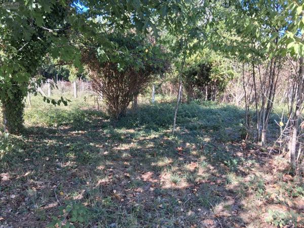 Achat - Maison | Maison Val de Virvée 33240 4 pièces 116 m 2 1000 m 2