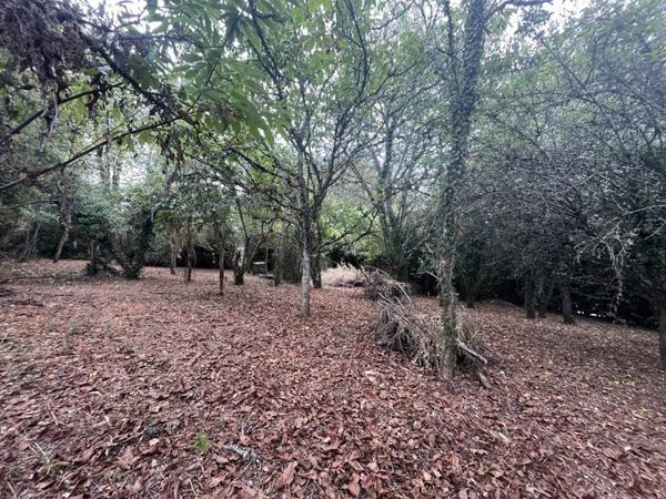 Terrain à vendre |  Baladou |  1423 m²