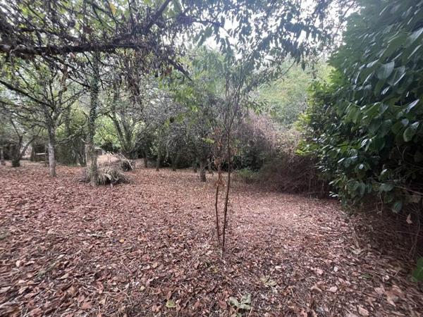 Terrain à vendre |  Baladou |  1423 m²