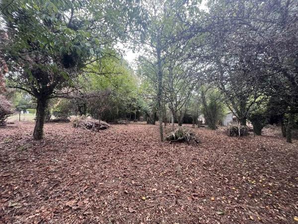 Terrain à vendre |  Baladou |  1423 m²