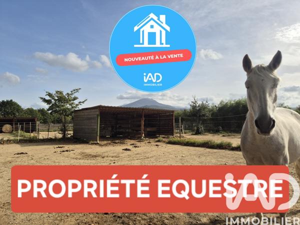 Maison à vendre 4 pièces 132 m² Saint-Jean-Pla-de-Corts