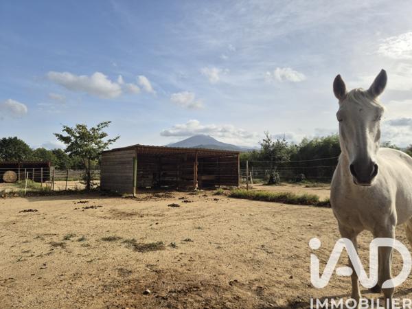 Maison à vendre 4 pièces 132 m² Saint-Jean-Pla-de-Corts