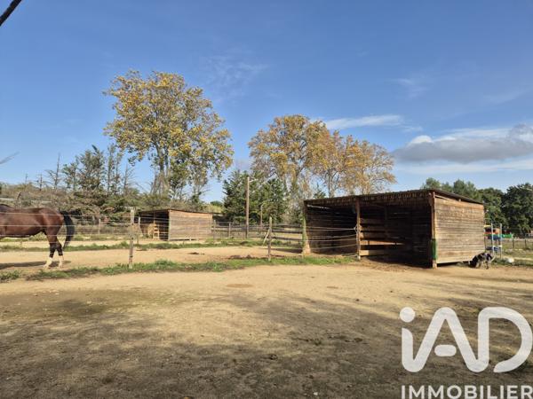 Maison à vendre 4 pièces 132 m² Saint-Jean-Pla-de-Corts