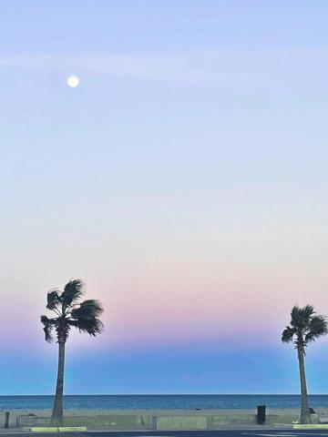 Maison à vendre 2 pièces LE BARCARES (66)