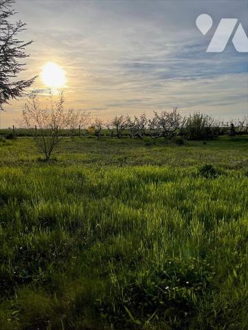 Terrain à bâtir d'environ 650 m² à BOUZONVILLE AUX BOIS (45300)